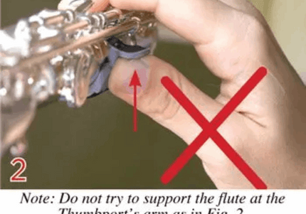 Labās rokas īkšķa balsts.(ThumbportII)