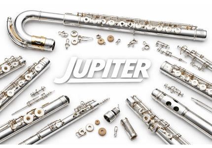 Jupiter BASA flautas detaļas